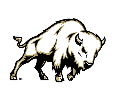 McAlester High School Football