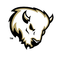 McAlester High School Football