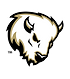 McAlester High School Football
